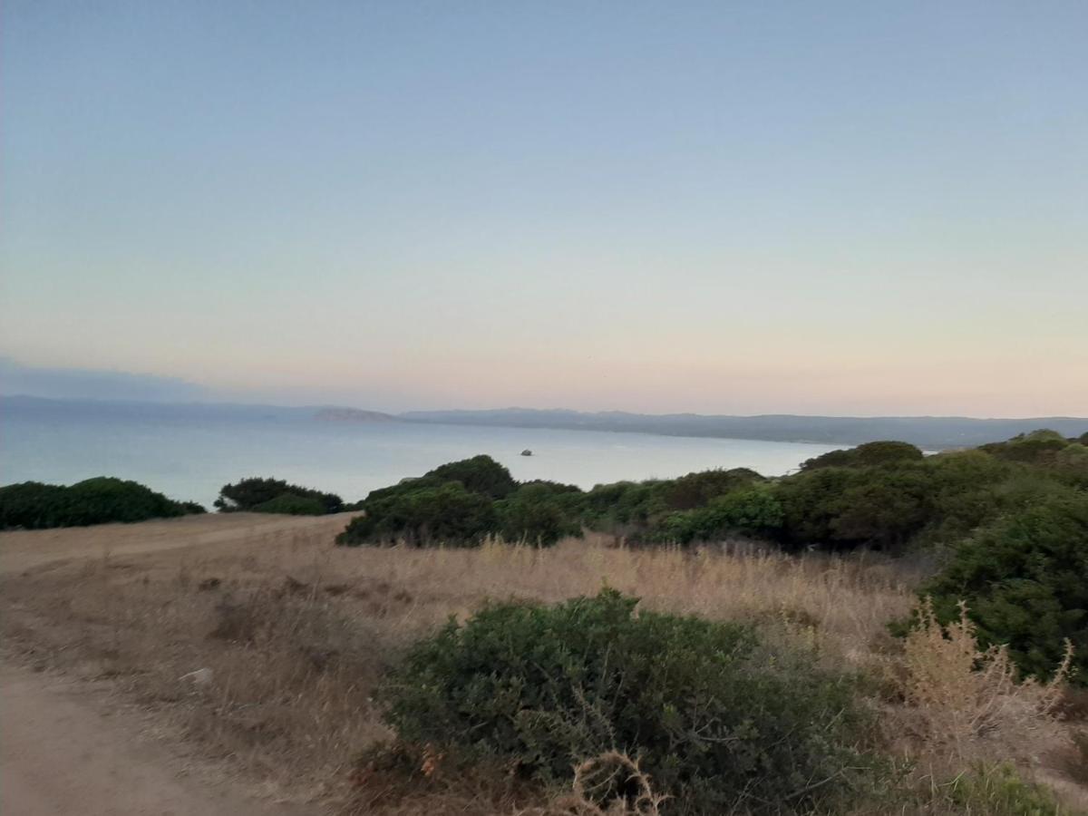 Appartamento Residence Mirice Vignola Mare Aglientu Casa Giorgia Εξωτερικό φωτογραφία
